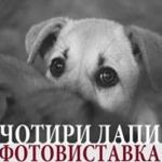 Фотовиставка «Чотири лапи»