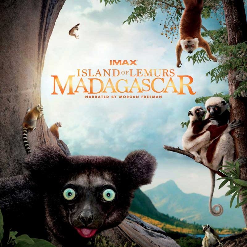Фільм «Острів лемурів: Мадагаскар» (Island of Lemurs: Madagascar)