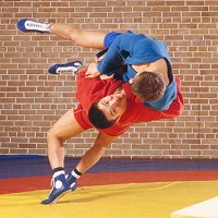 Чемпіонат України зі спортивного й бойового самбо