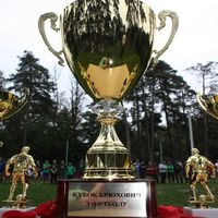 Відкритий турнір з футболу «Кубок Брюхович»