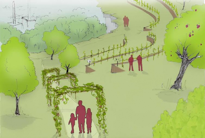 Park Znesinnya Vineyard & Urban Garden