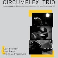 Концерт Circumflex Trio