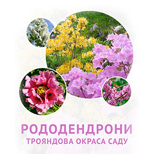 День відкритих дверей у Ботанічному саду «Рододендрони – трояндова окраса саду»
