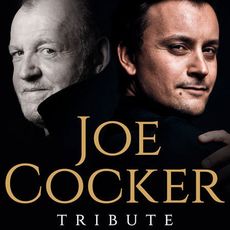 Концерт Joe Cocker Tribute