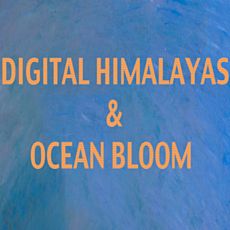 Концерт Digital Himalayas та Ocean Bloom
