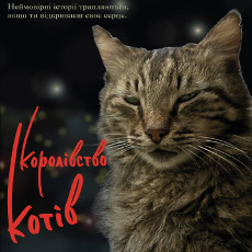 Фільм «Королівство котів» (Kedi)