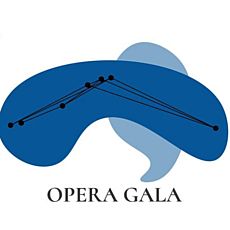 Концерт Opera Gala
