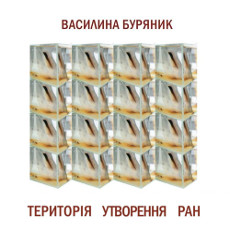 Проєкт Василини Буряник «Територія утворення ран»