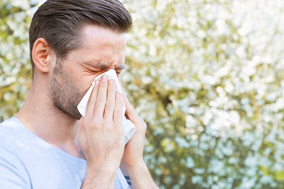 Таблетки від алергії: як покращити якість життя алергіків