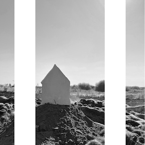 Виставка «Земля. Чи загояться рани…»