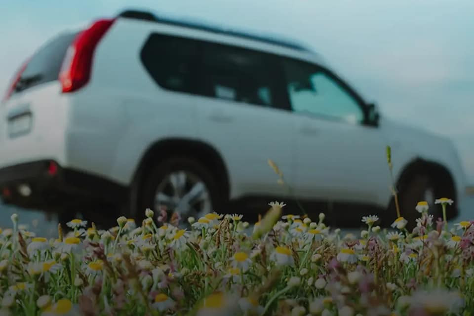 Дешеві авто б/у у Львові: як знайти надійний варіант